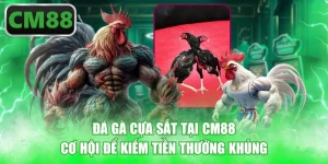 Đá Gà Cựa Sắt Tại CM88 - Cơ hội để kiếm tiền thưởng khủng