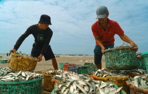 Người chơi mở game bắn cá trên điện thoại với giao diện trực quan